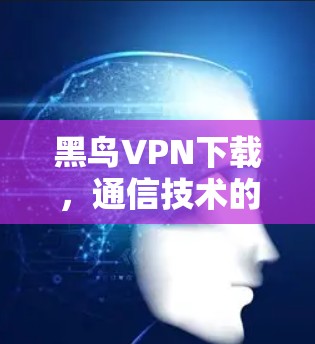 黑鸟VPN下载,通信技术的网络安全解决方案 黑鸟VPN下载,通信技术的网络安全解决方案
