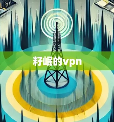 籽岷的vpn 籽岷的vpn
