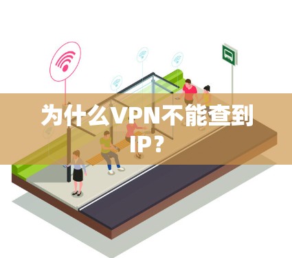 为什么VPN不能查到IP?