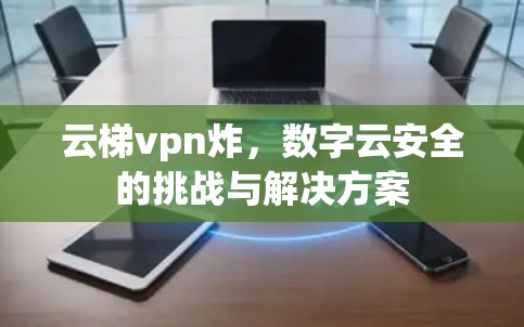 云梯vpn炸，数字云安全的挑战与解决方案