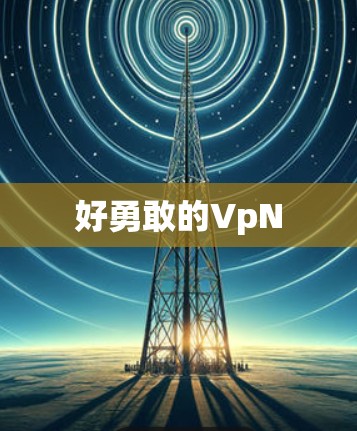 好勇敢的VpN 好勇敢的VpN
