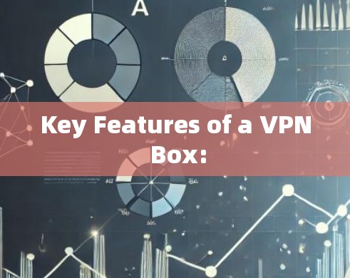 Key Features of a VPN Box: Key Features of a VPN Box: