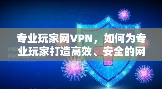 专业玩家网VPN,如何为专业玩家打造高效、安全的网络连接