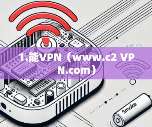 1.能VPN(www.c2 VPN.com) 1.能VPN(www.c2 VPN.com)