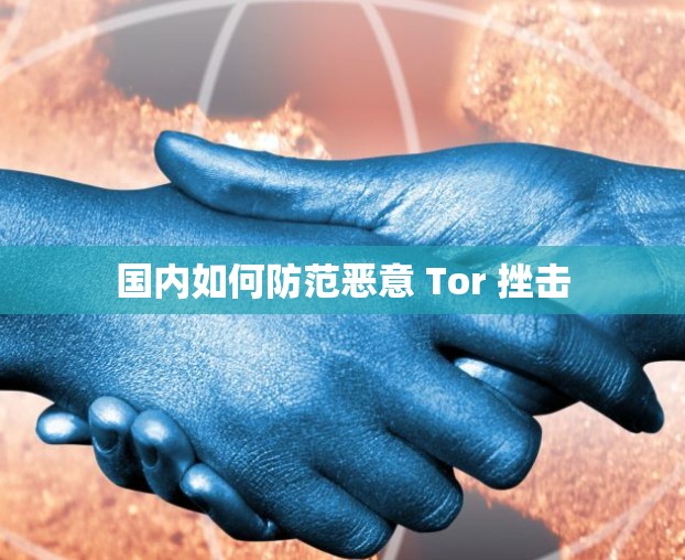 国内如何防范恶意 Tor 挫击 国内如何防范恶意 Tor 挫击