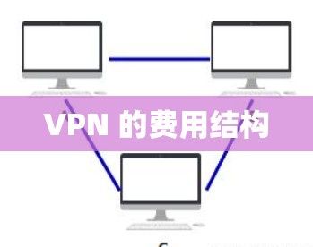 VPN 的费用结构 VPN 的费用结构