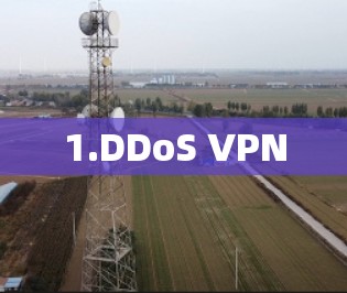1.DDoS VPN 1.DDoS VPN