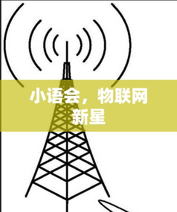 小语会,物联网新星