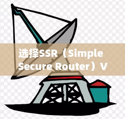 选择SSR（Simple Secure Router）VPN服务时，应综合考虑以下因素