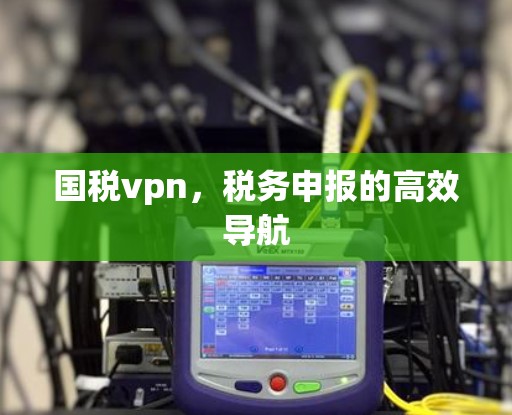 国税vpn,税务申报的高效导航