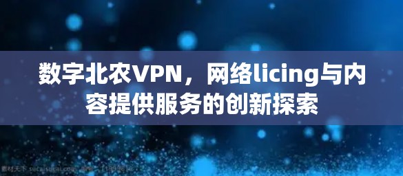 数字北农VPN，网络licing与内容提供服务的创新探索
