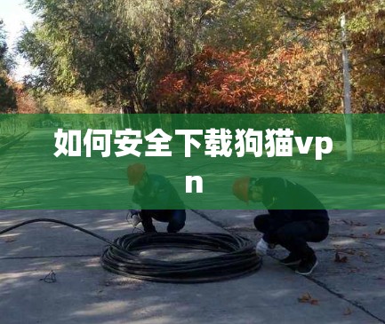 如何安全下载狗猫vpn