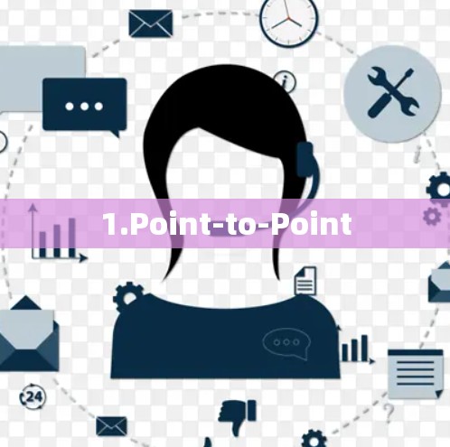 1.Point-to-Point 1.Point-to-Point
