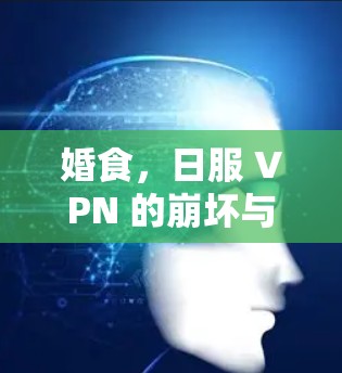 婚食,日服 VPN 的崩坏与重生