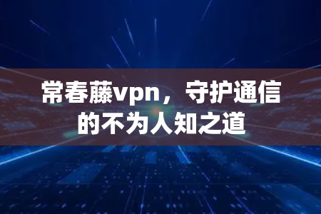 常春藤vpn,守护通信的不为人知之道 常春藤vpn,守护通信的不为人知之道