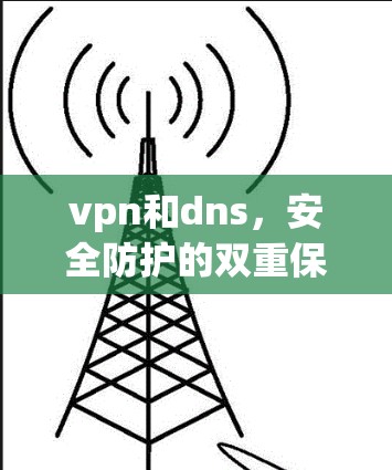 vpn和dns,安全防护的双重保障 vpn和dns,安全防护的双重保障