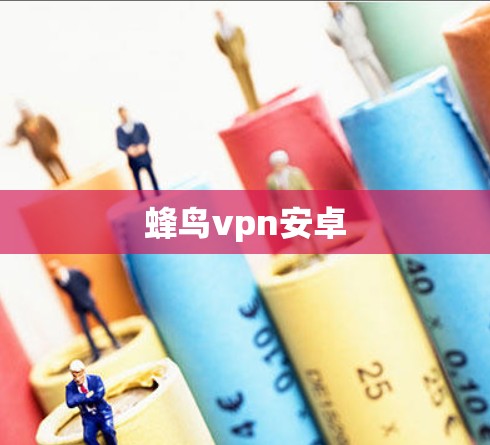 蜂鸟vpn安卓 蜂鸟vpn安卓