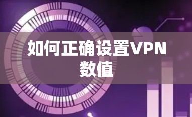 如何正确设置VPN数值 如何正确设置VPN数值