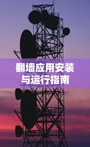翻墙应用安装与运行指南 翻墙应用安装与运行指南