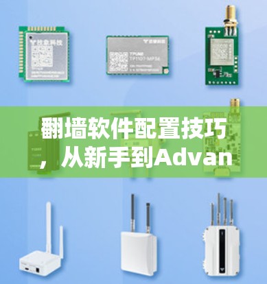 <strong>翻墙软件</strong>配置技巧,从新手到Advanceder的指南