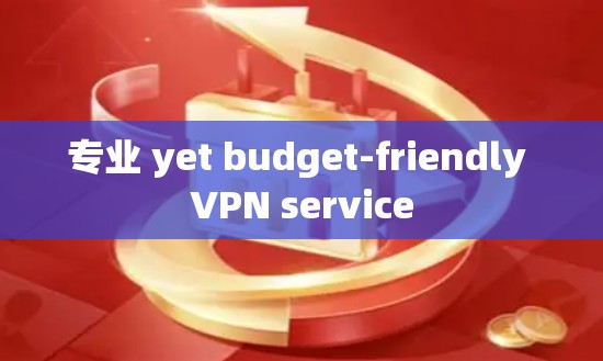 专业 yet budget-friendly VPN service 专业 yet budget-friendly VPN service