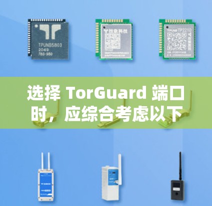 选择 TorGuard 端口时,应综合考虑以下因素