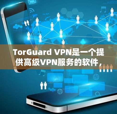 TorGuard VPN是一个提供高级VPN服务的软件,主要基于加密技术,支持多设备连接和高速率功能。以下是对其进行全面分析的关键点