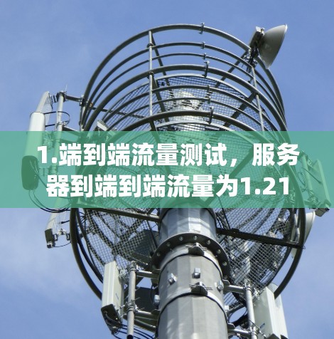 1.端到端流量测试，服务器到端到端流量为1.21 Gbps，客户端连接为1.3 Gbps，服务器连接为1.21 Gbps。这些测试显示服务器连接正常，带宽足够支持测试数据