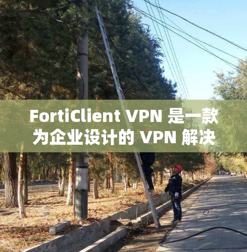 FortiClient VPN 是一款为企业设计的 VPN 解决方案，旨在提供安全、高效、灵活的网络连接服务。以下是对 FortiClient VPN 在企业客户端体验的总结