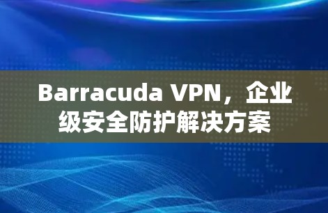 Barracuda VPN,企业级安全防护解决方案