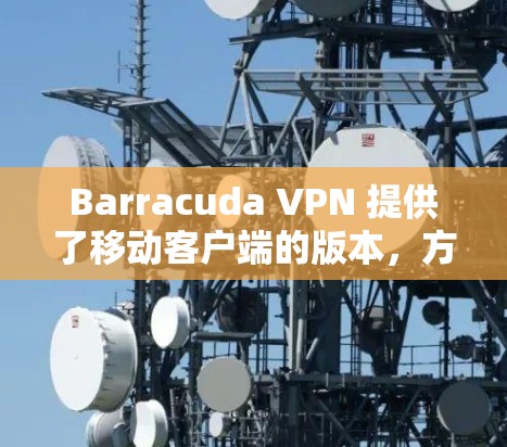 Barracuda VPN 提供了移动客户端的版本,方便用户在手机上使用VPN服务。以下是使用移动客户端的教程