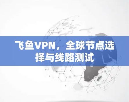 飞鱼VPN,全球节点选择与线路测试