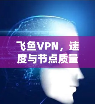 飞鱼VPN，速度与节点质量的双重挑战
