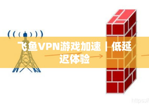 飞鱼VPN游戏加速|低延迟体验